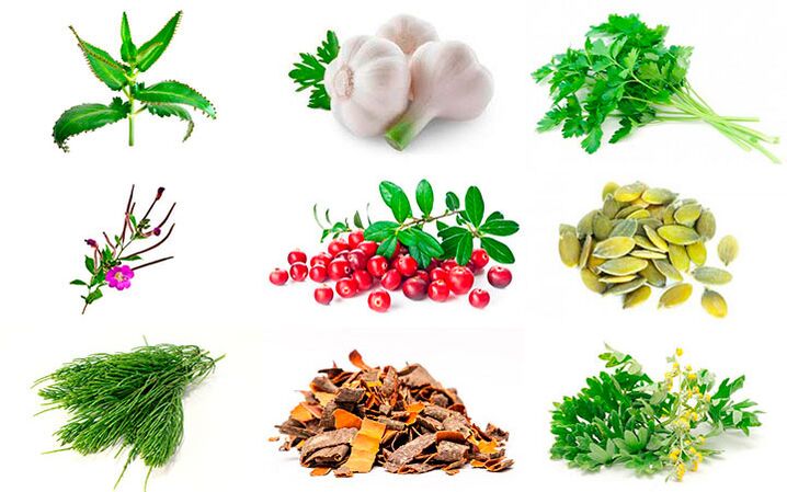 środki ludowe w leczeniu zapalenia gruczołu krokowego